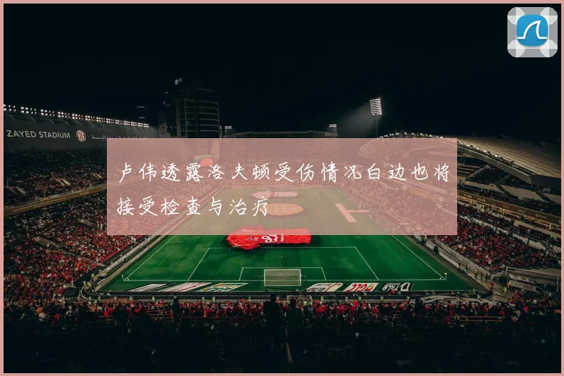 卢伟透露洛夫顿受伤情况白边也将接受检查与治疗
