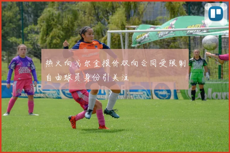 热火向戈尔金报价双向合同受限制自由球员身份引关注